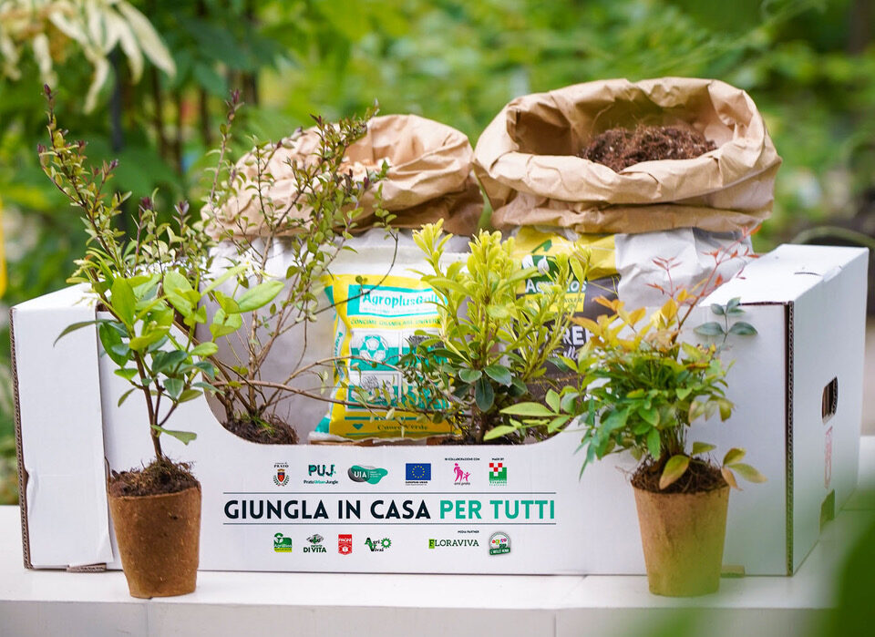 “Giungla in casa per tutti” con il kit di Prato Urban Jungle