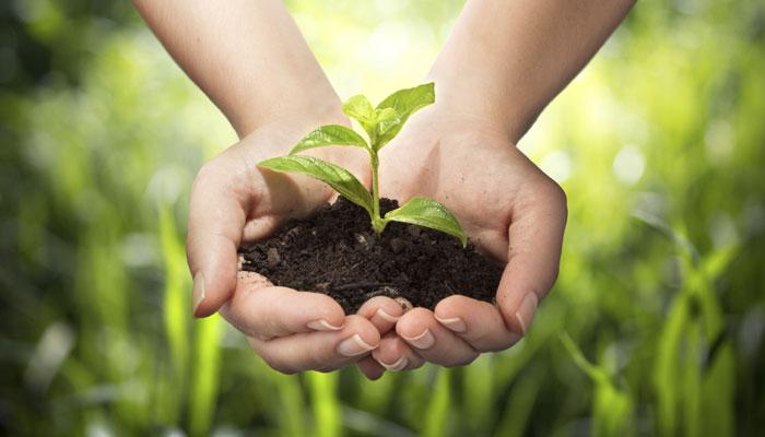 Verde è salute | giornata mondiale dell’ambiente 2021